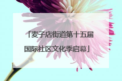 麦子店街道第十五届国际社区文化季启幕