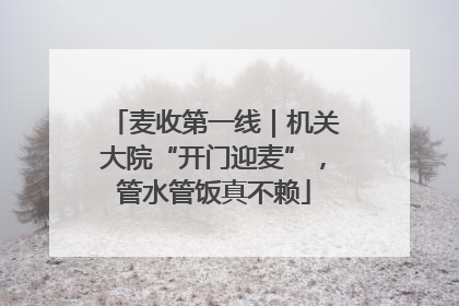 麦收第一线｜机关大院“开门迎麦”，管水管饭真不赖