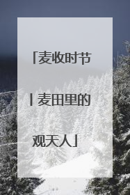 麦收时节丨麦田里的观天人