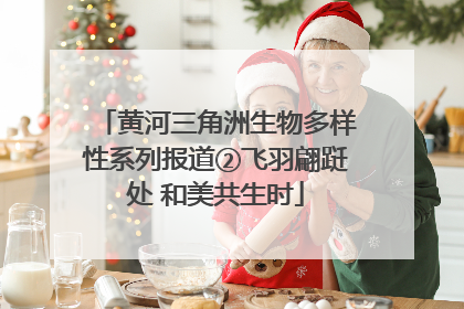 黄河三角洲生物多样性系列报道②飞羽翩跹处 和美共生时