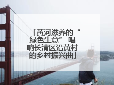 黄河滋养的“绿色生意” 唱响长清区沿黄村的乡村振兴曲