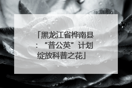 黑龙江省桦南县：“普公英”计划绽放科普之花