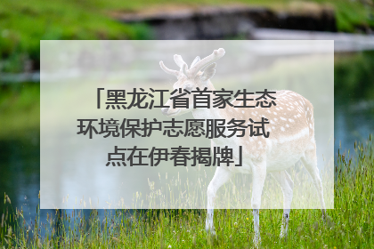 黑龙江省首家生态环境保护志愿服务试点在伊春揭牌