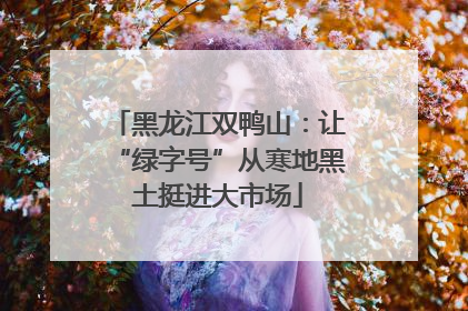 黑龙江双鸭山：让“绿字号”从寒地黑土挺进大市场