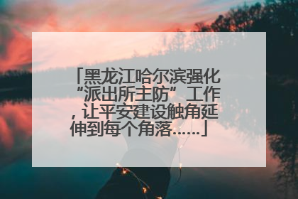 黑龙江哈尔滨强化“派出所主防”工作，让平安建设触角延伸到每个角落……