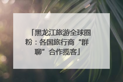 黑龙江旅游全球圈粉：各国旅行商“群聊”合作揽客