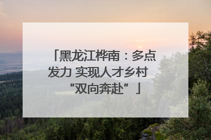 黑龙江桦南：多点发力 实现人才乡村“双向奔赴”