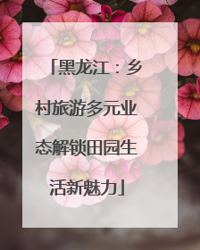 黑龙江：乡村旅游多元业态解锁田园生活新魅力
