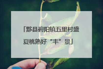黟县碧阳镇五里村盛夏桃熟好“丰”景