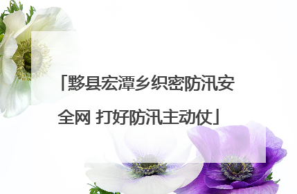 黟县宏潭乡织密防汛安全网 打好防汛主动仗