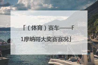 （体育）赛车——F1摩纳哥大奖赛赛况