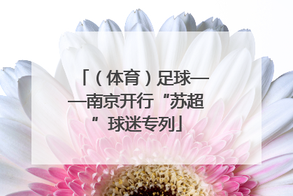 （体育）足球——南京开行“苏超”球迷专列