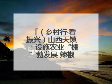 （乡村行·看振兴）山西天镇：设施农业“棚”勃发展 辣椒产业蓄势待发