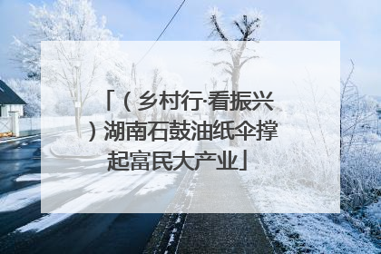 （乡村行·看振兴）湖南石鼓油纸伞撑起富民大产业
