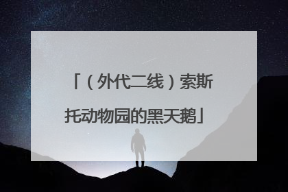 （外代二线）索斯托动物园的黑天鹅