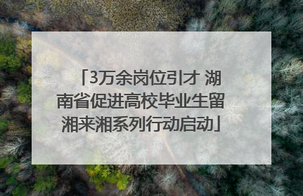 3万余岗位引才 湖南省促进高校毕业生留湘来湘系列行动启动
