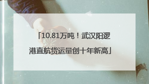 10.81万吨！武汉阳逻港直航货运量创十年新高