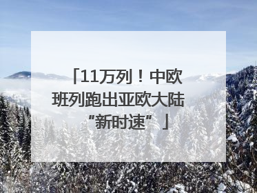 11万列！中欧班列跑出亚欧大陆“新时速”