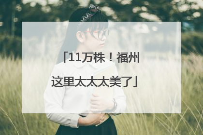 11万株！福州这里太太太美了