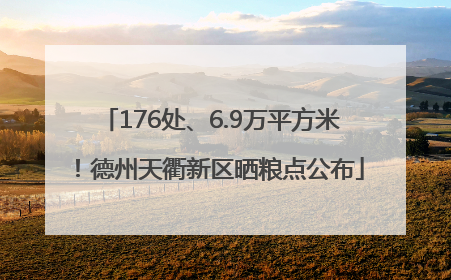 176处、6.9万平方米！德州天衢新区晒粮点公布