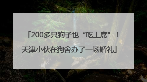200多只狗子也“吃上席”！天津小伙在狗舍办了一场婚礼