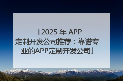 2025 年 APP 定制开发公司推荐：靠谱专业的APP定制开发公司