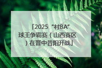 2025“村BA”球王争霸赛（山西赛区）在晋中昔阳开战