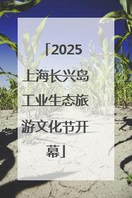 2025上海长兴岛工业生态旅游文化节开幕