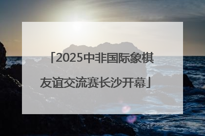 2025中非国际象棋友谊交流赛长沙开幕