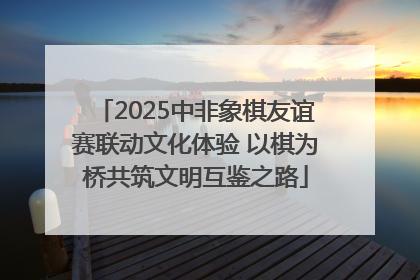 2025中非象棋友谊赛联动文化体验 以棋为桥共筑文明互鉴之路