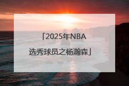 2025年NBA选秀球员之杨瀚森