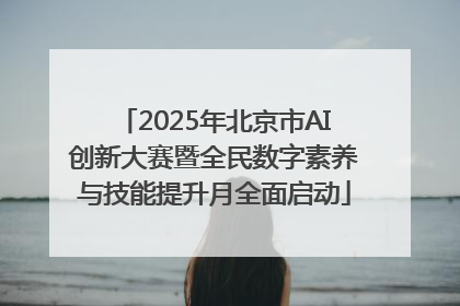 2025年北京市AI创新大赛暨全民数字素养与技能提升月全面启动