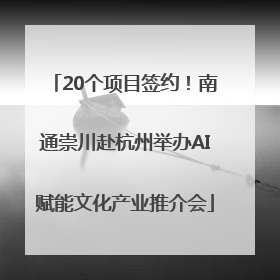 20个项目签约！南通崇川赴杭州举办AI赋能文化产业推介会