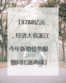 3788亿元，经济大省浙江今年新增债务限额同比涨两成