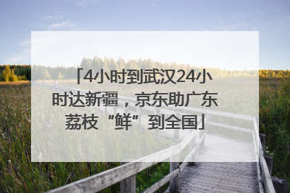 4小时到武汉24小时达新疆，京东助广东荔枝“鲜”到全国