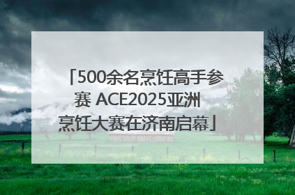 500余名烹饪高手参赛 ACE2025亚洲烹饪大赛在济南启幕