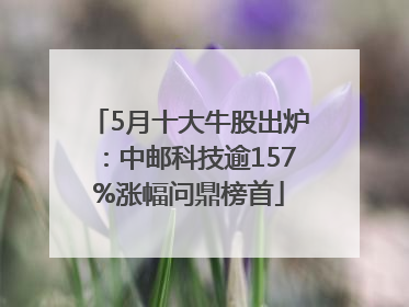 5月十大牛股出炉：中邮科技逾157%涨幅问鼎榜首