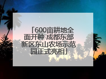 600亩耕地全面开种 成都东部新区东山农场示范园正式亮相