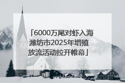 6000万尾对虾入海 潍坊市2025年增殖放流活动拉开帷幕