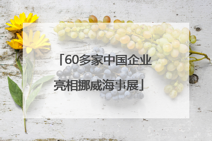 60多家中国企业亮相挪威海事展