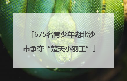 675名青少年湖北沙市争夺“楚天小羽王”