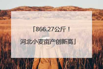 866.27公斤！河北小麦亩产创新高