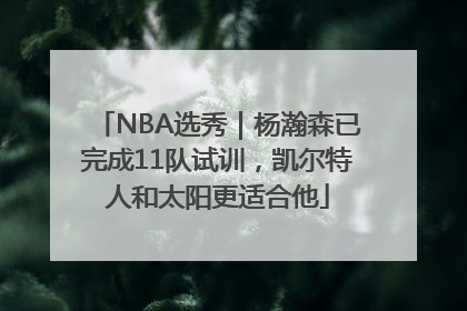 NBA选秀｜杨瀚森已完成11队试训，凯尔特人和太阳更适合他