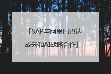SAP与阿里巴巴达成云和AI战略合作