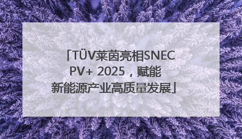 TÜV莱茵亮相SNEC PV+ 2025，赋能新能源产业高质量发展