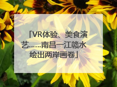 VR体验、美食演艺……南昌一江赣水绘出两岸画卷